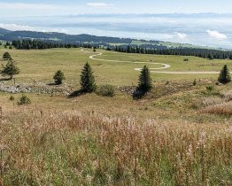 ML_987_119_vor_Le_Chasseron_550x440 1.jpg